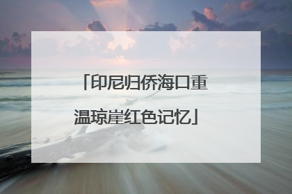 印尼归侨海口重温琼崖红色记忆