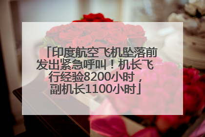 印度航空飞机坠落前发出紧急呼叫！机长飞行经验8200小时，副机长1100小时