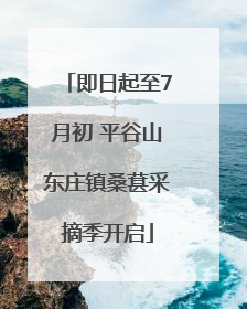 即日起至7月初 平谷山东庄镇桑葚采摘季开启