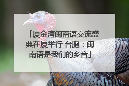 厦金湾闽南语交流盛典在厦举行 台胞：闽南语是我们的乡音