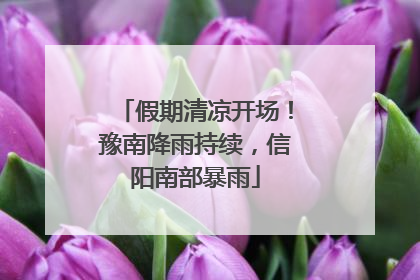 假期清凉开场！豫南降雨持续，信阳南部暴雨