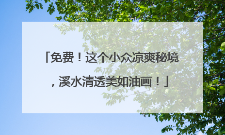 免费！这个小众凉爽秘境，溪水清透美如油画！