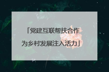 党建互联帮扶合作 为乡村发展注入活力