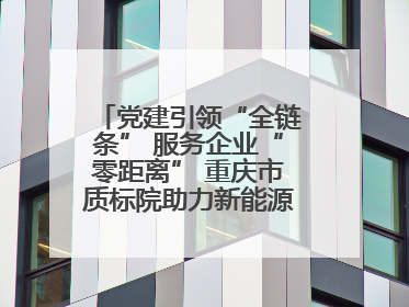 党建引领“全链条” 服务企业“零距离” 重庆市质标院助力新能源汽车产业链提升质量管理水平