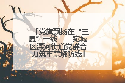 党旗飘扬在“三夏”一线——宛城区溧河街道党群合力筑牢禁烧防线
