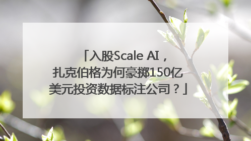 入股Scale AI，扎克伯格为何豪掷150亿美元投资数据标注公司？