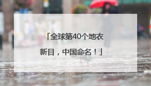 全球第40个地衣新目，中国命名！