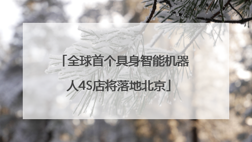 全球首个具身智能机器人4S店将落地北京
