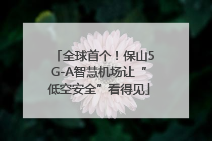 全球首个！保山5G-A智慧机场让“低空安全”看得见