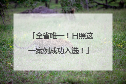 全省唯一！日照这一案例成功入选！