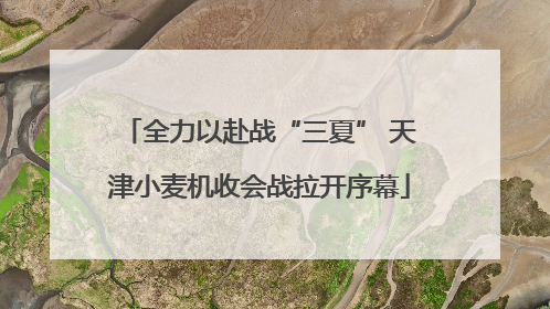 全力以赴战“三夏” 天津小麦机收会战拉开序幕