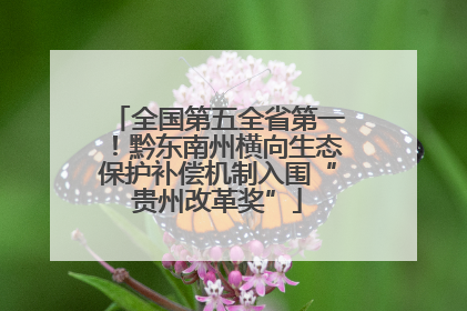 全国第五全省第一！黔东南州横向生态保护补偿机制入围“贵州改革奖”