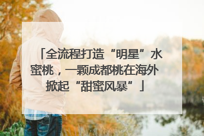 全流程打造“明星”水蜜桃，一颗成都桃在海外掀起“甜蜜风暴”