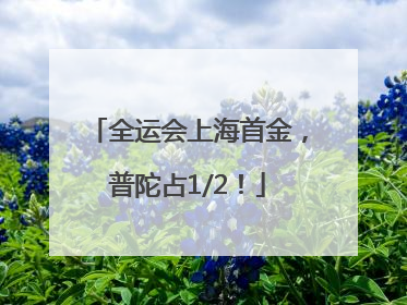 全运会上海首金，普陀占1/2！