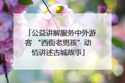 公益讲解服务中外游客 “西街老男孩”动情讲述古城故事