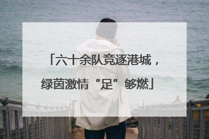 六十余队竞逐港城，绿茵激情“足”够燃
