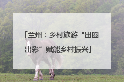 兰州：乡村旅游“出圈出彩”赋能乡村振兴