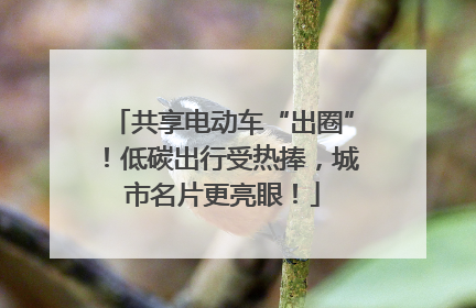 共享电动车“出圈”！低碳出行受热捧，城市名片更亮眼！