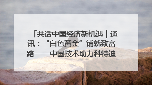 共话中国经济新机遇｜通讯：“白色黄金”铺就致富路——中国技术助力科特迪瓦橡胶产业增产增效