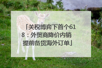 关税博弈下首个618：外贸商降价内销 提前备货海外订单