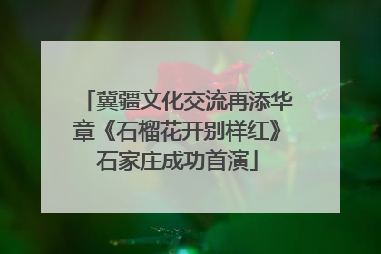 冀疆文化交流再添华章《石榴花开别样红》石家庄成功首演