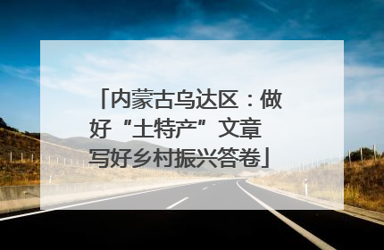 内蒙古乌达区：做好“土特产”文章 写好乡村振兴答卷