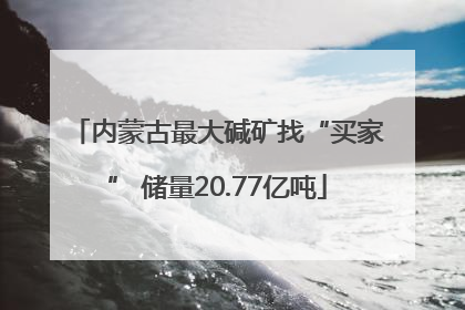 内蒙古最大碱矿找“买家” 储量20.77亿吨