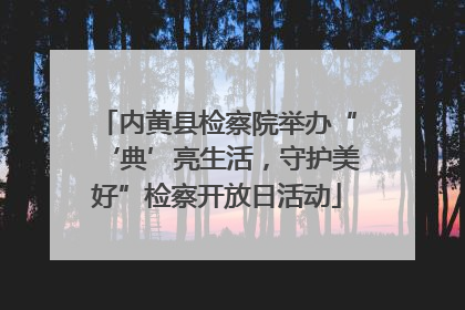 内黄县检察院举办“‘典’亮生活，守护美好”检察开放日活动