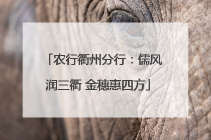 农行衢州分行：儒风润三衢 金穗惠四方