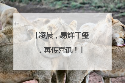 凌晨，易烊千玺，再传喜讯！