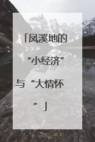 凤溪地的“小经济”与“大情怀”