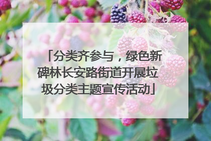 分类齐参与，绿色新碑林长安路街道开展垃圾分类主题宣传活动