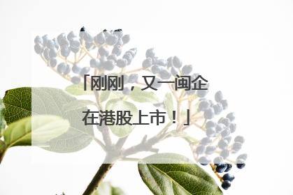 刚刚，又一闽企在港股上市！
