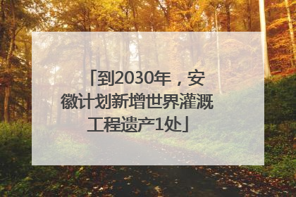 到2030年，安徽计划新增世界灌溉工程遗产1处