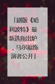 剧版《哈利波特》最新选角出炉，马尔福饰演者公开