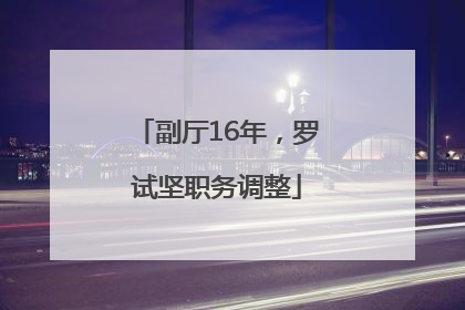 副厅16年，罗试坚职务调整