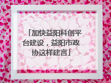 加快益阳科创平台建设，益阳市政协这样建言