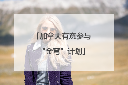 加拿大有意参与“金穹”计划