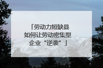 劳动力短缺县 如何让劳动密集型企业“逆袭”