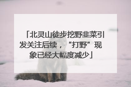 北灵山徒步挖野韭菜引发关注后续，“打野”现象已经大幅度减少