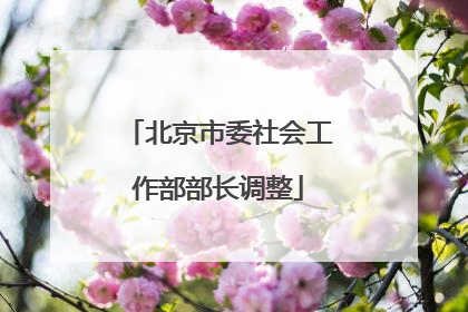 北京市委社会工作部部长调整