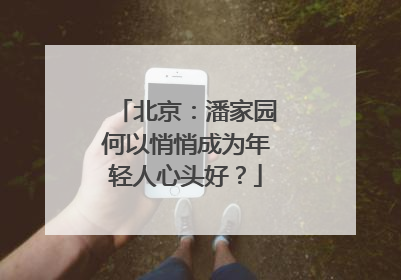 北京：潘家园何以悄悄成为年轻人心头好？