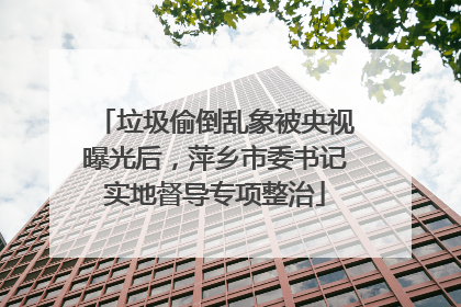 垃圾偷倒乱象被央视曝光后，萍乡市委书记实地督导专项整治