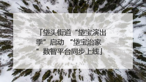 垡头街道“垡宝演出季”启动 “垡宝治家”数智平台同步上线