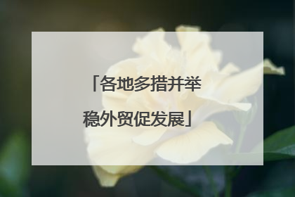 各地多措并举稳外贸促发展
