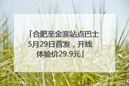 合肥至金寨站点巴士5月29日首发，开线体验价29.9元