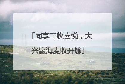 同享丰收喜悦，大兴瀛海麦收开镰