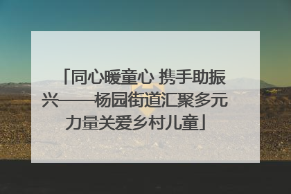 同心暖童心 携手助振兴——杨园街道汇聚多元力量关爱乡村儿童