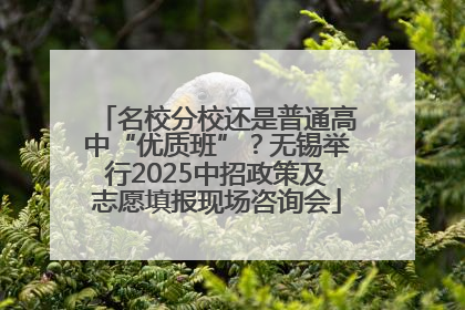 名校分校还是普通高中“优质班”？无锡举行2025中招政策及志愿填报现场咨询会