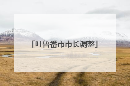 吐鲁番市市长调整